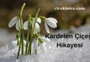 Kardelen Çiçeği Hikayesi